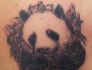 Čo znamená tetovanie pandy?