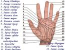 Marriage line in palmistry: photo with explanations How to find out how much by hand