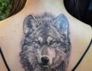 Татуировка волк на предплечье
